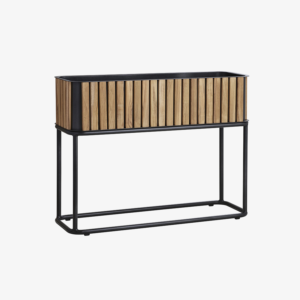sotol-planter